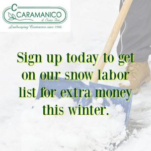 Snow Labor
